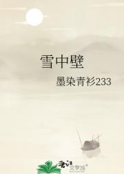 雪中壁