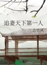 追妻天下第一人