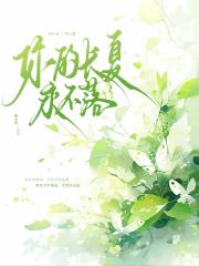 你的长夏永不落
