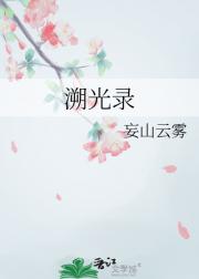溯光录