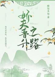 娇夫晋升之路