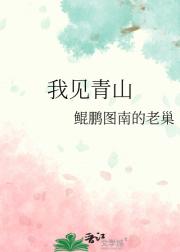 我见青山