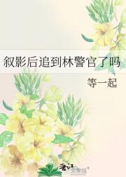 叙影后追到林警官了吗