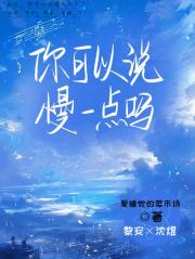 你可以说慢一点吗
