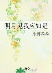 明月见我应如是