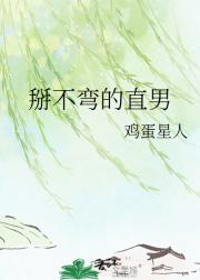 掰不弯的直男