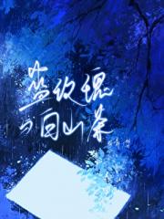 蓝玫瑰与白山茶