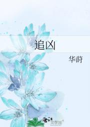 追凶