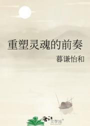 重塑灵魂的前奏