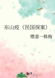 东山疫（民国探案）