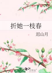 折她一枝春