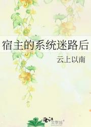 宿主的系统迷路后