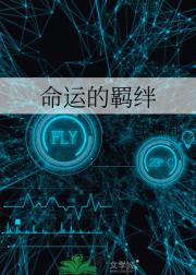 命运的羁绊