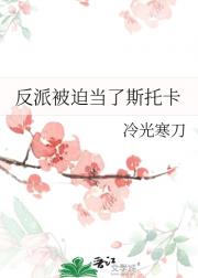 反派被迫当了斯托卡