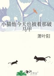 小猫他今天也披着那破马甲