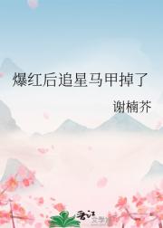 爆红后追星马甲掉了