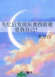 失忆后发现东食西宿竟是我自己！