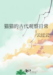 猫猫的古代观察日常