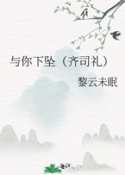 与你下坠（齐司礼）