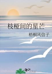 枝桠间的星芒