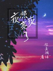 夜照亮了夜