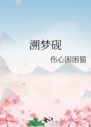 溯梦砚