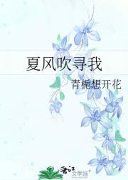 夏风吹寻我