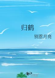 归鹤