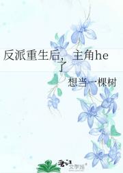 反派重生后，主角he了