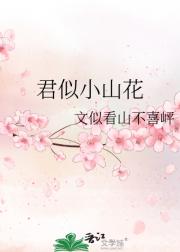 君似小山花