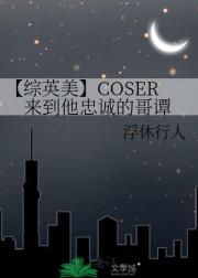 【综英美】COSER来到他忠诚的哥谭