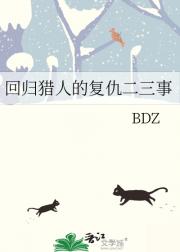 回归猎人的复仇二三事