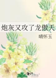 炮灰又攻了龙傲天