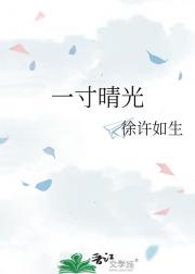 一寸晴光