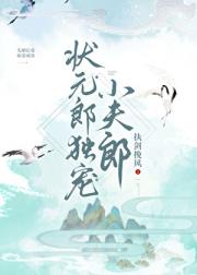 状元郎独宠小夫郎