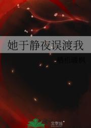 她于静夜误渡我