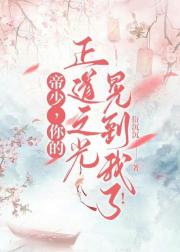 帝少，你的正道之光晃到我了！