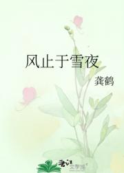 风止于雪夜
