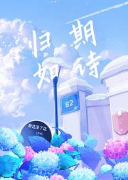 归期如诗