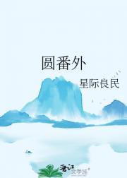 圆番外