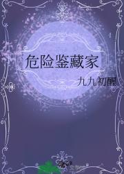危险鉴藏家