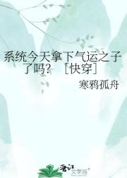 系统今天拿下气运之子了吗？［快穿］