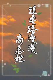 高总她追妻路漫漫