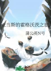 亚当斯的霍格沃茨之旅