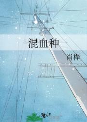 混血种
