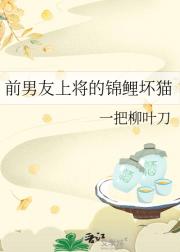 前男友上将的锦鲤坏猫