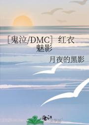 ［鬼泣/DMC］红衣魅影