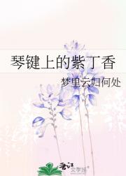 琴键上的紫丁香