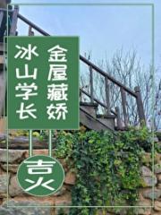 冰山学长被她金屋藏娇啦！
