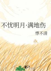 不忧明月·满地伤